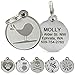 GoTags Playful, Custom Engraved Pet ID Tags, Solid Stainless Steel, Personalized Dog and Cat Pet ID with up to 4 Lines of Text, Cute, Durable and Long-Lasting