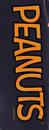 Peanuts Mens' Charlie Brown It's The Great Pumpkin Sleep Pajama Set4