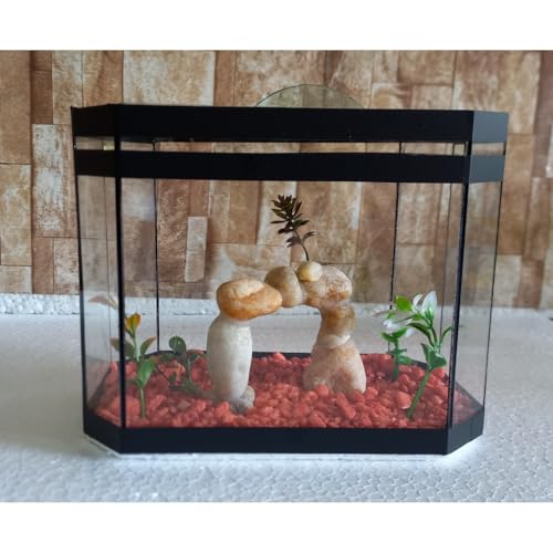 Aquario Beteira Oval Para Peixe Betta 3,0L (até a borda) Decorado Ornamentação Exclusiva