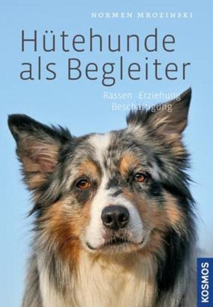 Hütehunde als Begleiter: Rassen, Erziehung, Beschäftigung