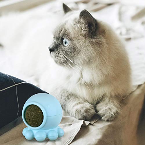 Simulação de brinquedo molar resistente a mordidas Polvo Rotação de 360 ??graus Bola de Catnip Estru