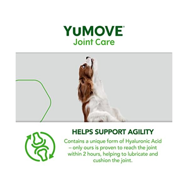 (60 Tablets, Active Dog) – Lintbells YuMOVE Active Dog supplement for active dogs, 60 tablets (60 Tablets, Active Dog) – Lintbells YuMOVE Active Dog supplement for active dogs, 60 tablets