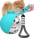 Tragbare Hundetrinkflasche 285ml,Edelstahl Wasserflasche für Hunde,Auslaufsicherer Reisenapf mit Faltbarem Silikonnapf für Spaziergänge und Wanderungen (Blau)