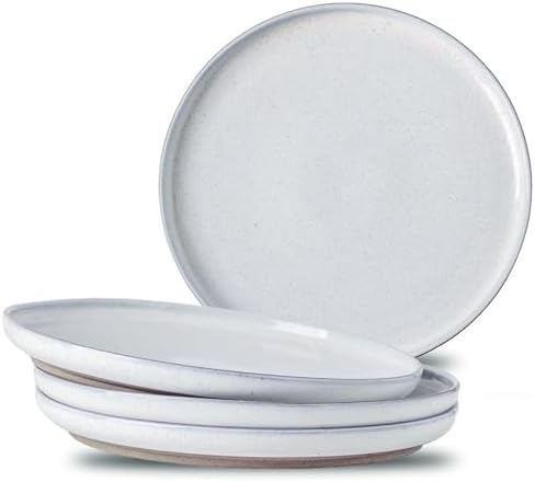 Ceramic Dinner Plates Set of 4 with High Edges, 10 Inch Glacier W...