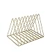 Udreamer 9 Slot Record Holder,Desktop Vinyl Record Storage Holds Up 30 LPs,Metal Magazine Holder Triangle File Holder for Office Homer,Golden