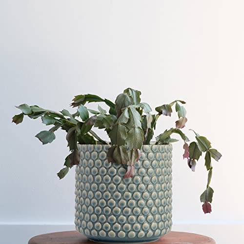 Bloomingville Coastal Stoneware Pot With Raised Dots And Crackle Glaze, Sky Blue, 6" #TOP1