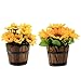 Produktbild Flikool 2pcs Künstliche Sonnenblume im Holzfass Seiden Blume Gefälschte Blumengestecke Künstliche Pflanze im Topf Dekorative Kunstblumen Kunstpflanzen Bonsai für Hause Hochzeit Balkon Party