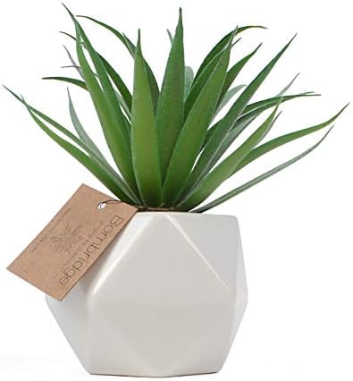 Artificial Succulent - Fake Succulent in Planter - Faux Succulent with Ceramic Geometric Planter - Artificial Potted Plant (1 Pack, Agave Macroacantha)