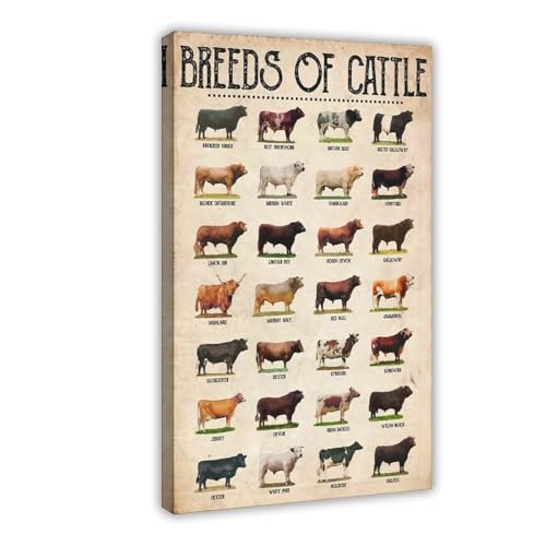 Toile murale vintage Breeds of Cattle pour deco de bar et salon 40x60 cm