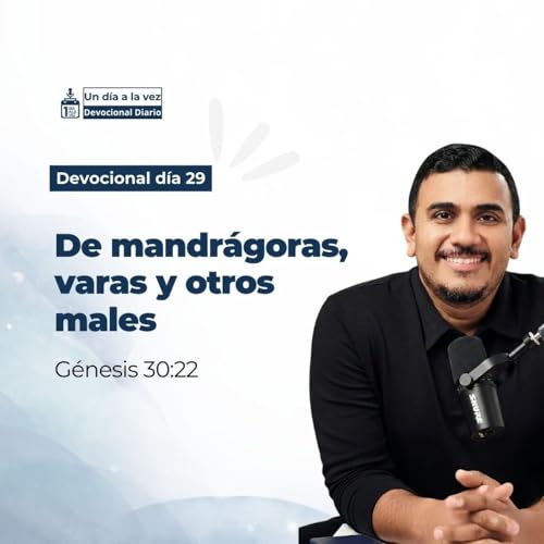 De mandr&aacute;goras, varas y otros males copertina