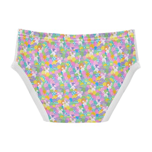 Boys' Exclusive Briefs Toddler Underwear 95% Combed Cotton Boxerbriefs 2T Colorful Bunny and Flower Pattern 232