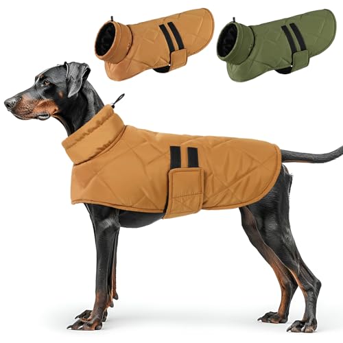 CITÉTOILE Hundemantel für Kleine Hunde, Hundemantel Winter,Winddichte Hundejacke für Hund Indoor & Outdoor Camping Wandern