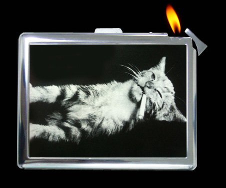 Amazon.com: Bad Cat Smoking Cigarette Case Lighter Wallet Card Holder :  Health & Household