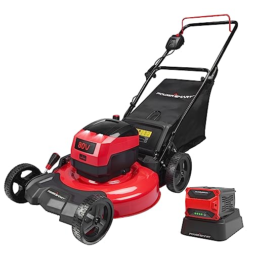 Find The Best Electric Start Lawn Mower Reviews & Comparison Katynel