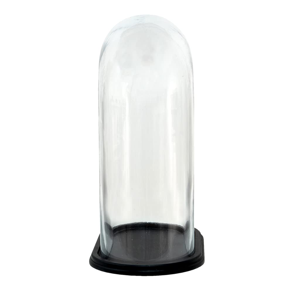 LDHHYH Cloche En Verre Avec Socle Bois Noir 21 Cm - Décoration Transparente Pour Objets Précieux