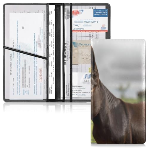 Organizador de Documentos para Auto Slim miniatura 6