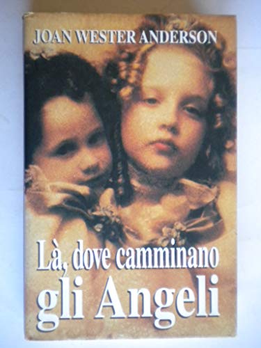 Là, dove camminano gli angeli. Storie vere di incontri celest