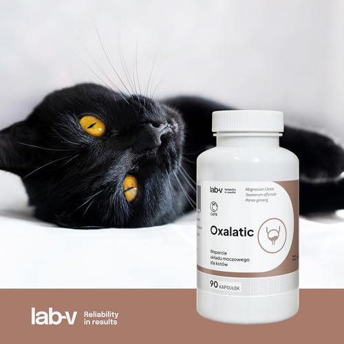 Lab-V Oxalatic für Katzen – Ergänzungsfuttermittel zur Unterstützung bei Calciumoxalatsteinen – 90 Kapseln – ohne künstliche Zusatzstoffe – leicht zu verabreichen