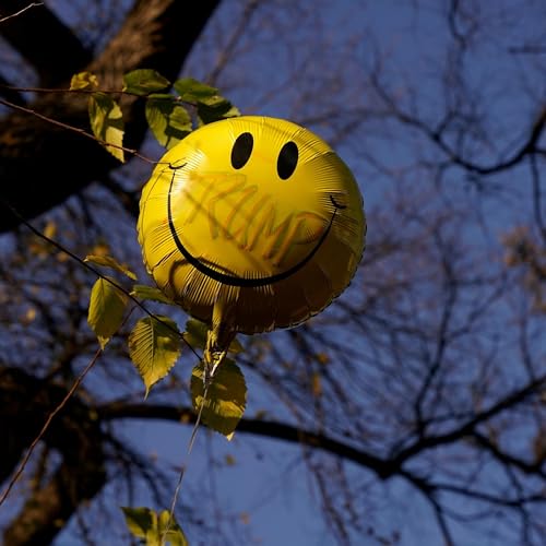 Quantifying Happiness In 2026