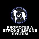 Purina FortiFlora Probiotics for Dogs, Pro Plan Veterinary Supplements Powder Probiotic Dog Supplement – 30 ct. box (Packaging May Vary) - Image 3