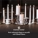 Colonial Candle Unscented Taper Candle, Classic Collection, Ivory, 10 In, Pack of 12 - Up to 8 Hours Burn