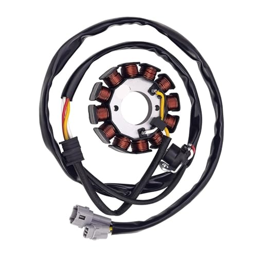 Stator de Générateur WR250F Kit Bobine Allumage Stable Moto 5UM-81410-31-00