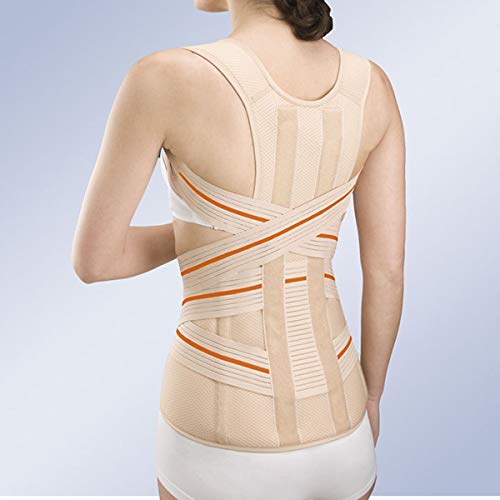 Fascia thoraco Orliman 6213 corset dorsolombaire d'immobilisation
