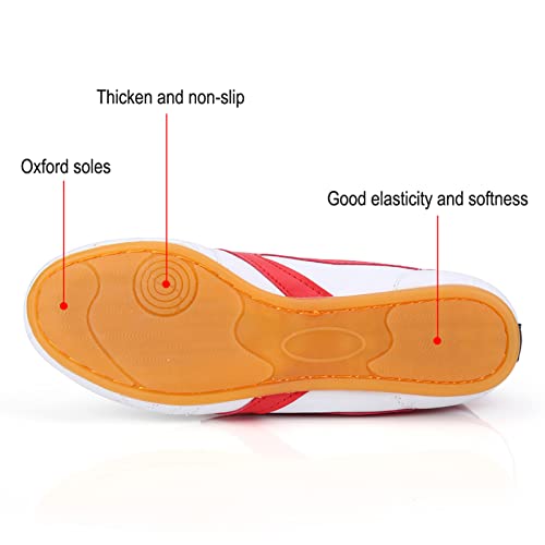 Kung Fu Shoes, PU Leather Unisex Sport Lightweight Shoe Taekwondo Boxing Taichi Shoes Sport Gym with Oxford Sole (383