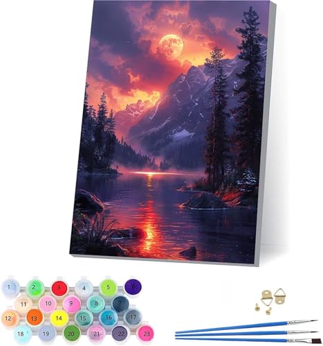 G v yCgoCio[ R DIY Paint by Numbers LbghG h G fW^G uVƃANG̋ l̂߂̃NGCeBuȎ z[ ItBX Mtg 30x40cm t[t Z-9