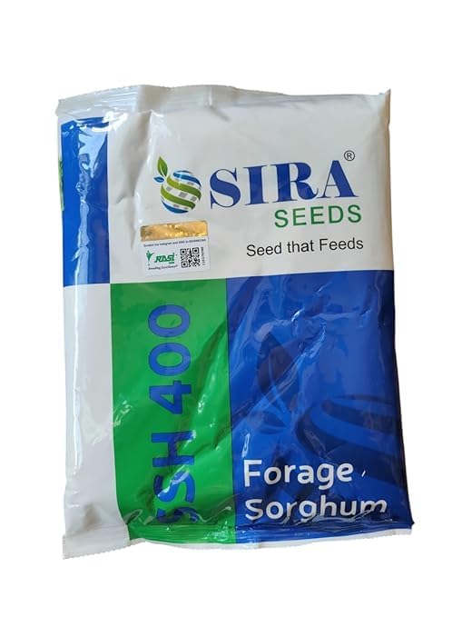 SIRA Seeds SH 400, Forage Sorghum Seeds 2KG pack of 1-image-47
