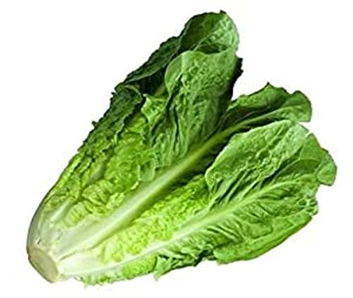 Fresh Lettuce, Romaine, 1 Piece (100g-150g)
