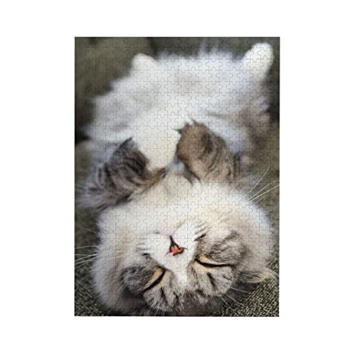 WO\[pY ؐpY ЂԂĐQĂL G ]`W DIỶƂ̑ v[g yV sN`ApY  mߋ }CNs[X 500s[X Puzzle (3852cm)