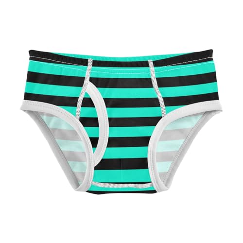 Black Turquoise Stripe Toddler Boy's Underwear 2T