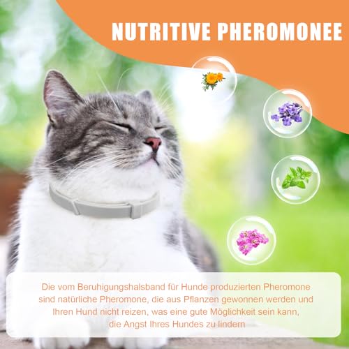 Beruhigendes Halsband für Katzen, Pheromon-Katzenhalsband, zur Linderung von Angst und Stress, verstellbar, wasserabweisend, beruhigende Halsbänder, 6 Stück (grau)