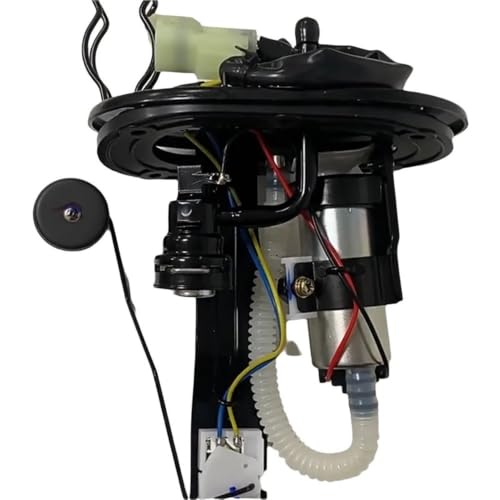 Bomba de combustible JG171800 soluciona tirones en moto Dk 125 200