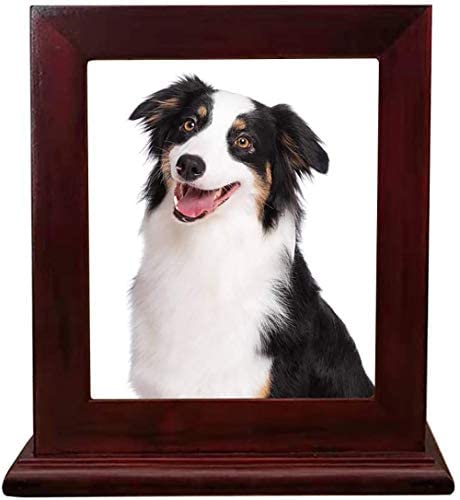 Hanwu Madera Pet Memorial urna para Cenizas, Marco de la Foto del Recuerdo de la Caja para Gatos Perros, funeraria ataúdes de Madera Material corpulentos cremación urnas Amantes de Mascotas,Wine Red