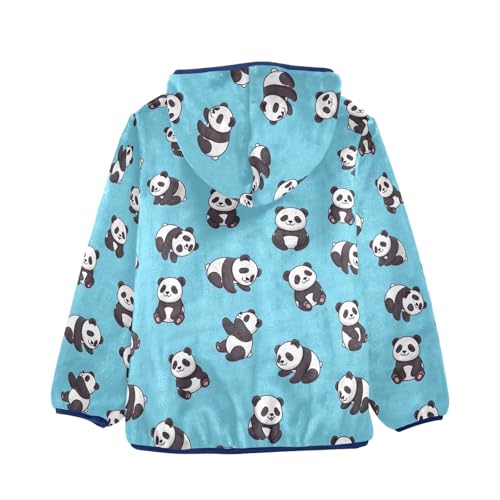 CHIFIGNO Cute Pandas Blue Toddler Boy Winter Jacket, Boy Zip up Hoodie Warm for Fall Winter Spring 3T2