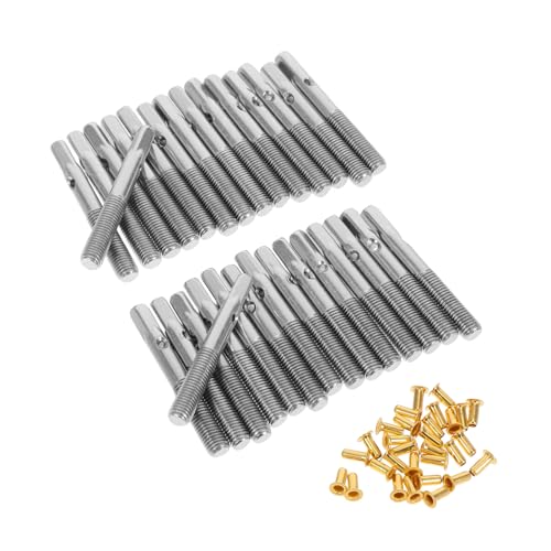 HAMPPLIES 1 Zbg G՗ߓB y n[vy cB^[y n