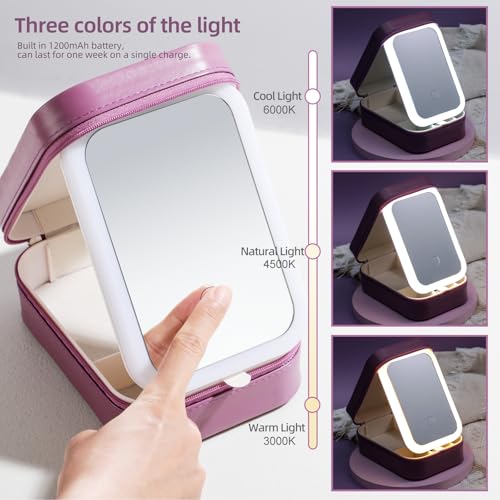 50% Off BS-MALL Travel LED Makeup Mirror Case with Storage