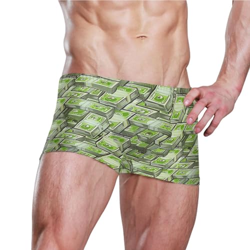 Paper Money Hundred Dollar Bills Mens Swim Trunk Swimwear Bathing Suit Swim Brief Square Leg Board Short S B04050873