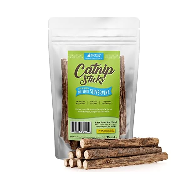 Raw paws silvervine for cats (30-ct) - silvervine cat toys for indoor cats - catnip sticks - matatabi cat chew stick - silvervine sticks for cats, silver vine sticks cat kicker toy, cat toy silvervine
