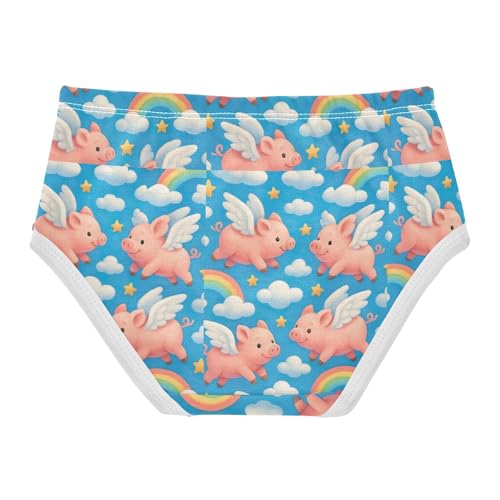 Joisal Cute Cartoon Pigs Rainbow Toddler Girls Underwear 2t Cotton Cute Panties Girl Flower Kids Undies Briefs2