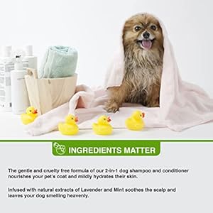   Pure-and-Natural-Pet-USDA-Certified-Organic-2-in-1-Grain-Free-Shampoo-Conditioner-Lavender-Mint-16-oz