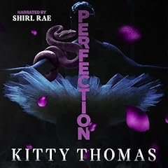 Couverture de Perfection