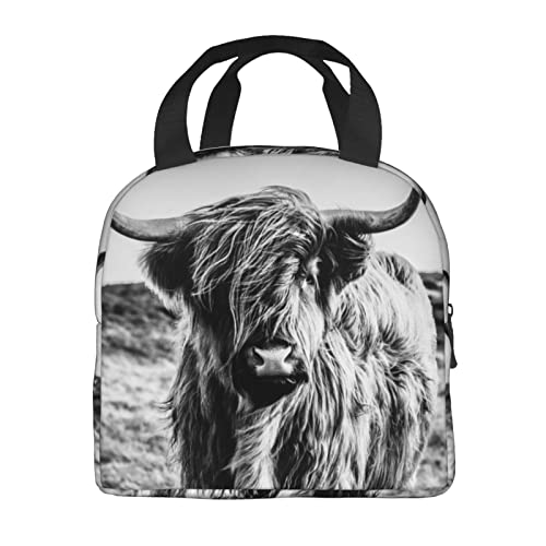 VOOHDDY Cool Highland Cow Insulated Lunch Bag For Men Women Reusable Lunch Box Container Waterproof Portable Cooler Thermal Tote Bag For Work Office Picnic Beach Travel