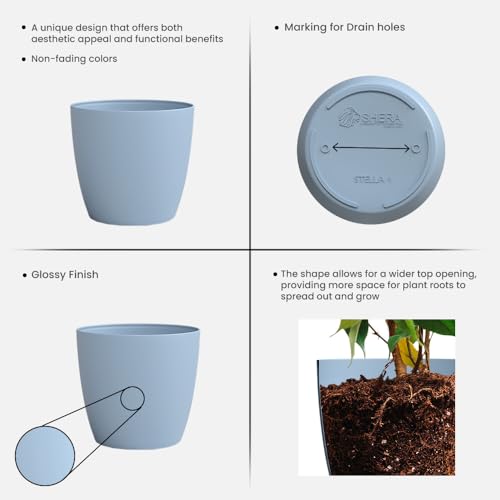 Image of YUCCABE ITALIA SHERA Stella 5 Inch Plastic Plant Pot for Home Decor Indoor Plant Pots for Living Room Plastic Flower Pot for Garden (Cyan, 5 INCH - 6 Pcs)