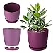 KADAX Blumentopf mit Untersetzer Ø 30cm, Pflaume, dekorativer Übertopf für Wohnzimmer, Bad, Balkon & mehr – bringt Farbe und Frische in den Raum
