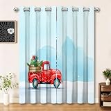 Dimensioni ideali e installazione semplice: Riceverete due tende per interni oscuranti di alta qualità, ogni pannello 58,5 L x 138 A cm (2 pannelli) (totale 117x138 cm). Ideali per finestre piccole, queste tende offrono privacy e riduzione della luce senza occupare spazio. Montaggio e scorrimento facili, perfette per camere, studi o cucine compatte.