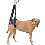 Walkin' Lift Combo Rear Dog Harness for Mobility | Helps Dogs with Arthritis, Senior Dogs and Pets Recovering from Surgery