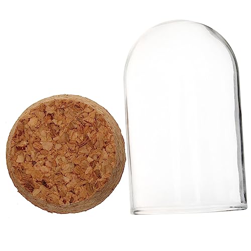 GRIRIW Glass Display Box Model Storage Dome Wooden Base Display Case for Collectibles Antiques Holder